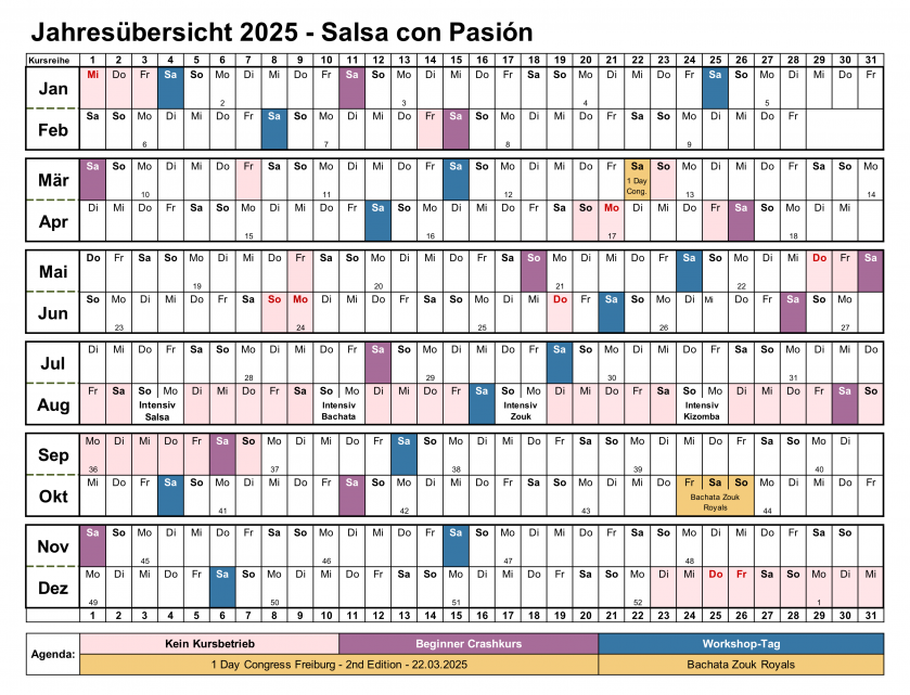 Jahresübersicht 2025 Salsa con Pasión